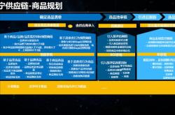 那不勒斯后防线失误频频，防守漏洞暴露-苏宁战术灵活取胜，一路前行的简单介绍